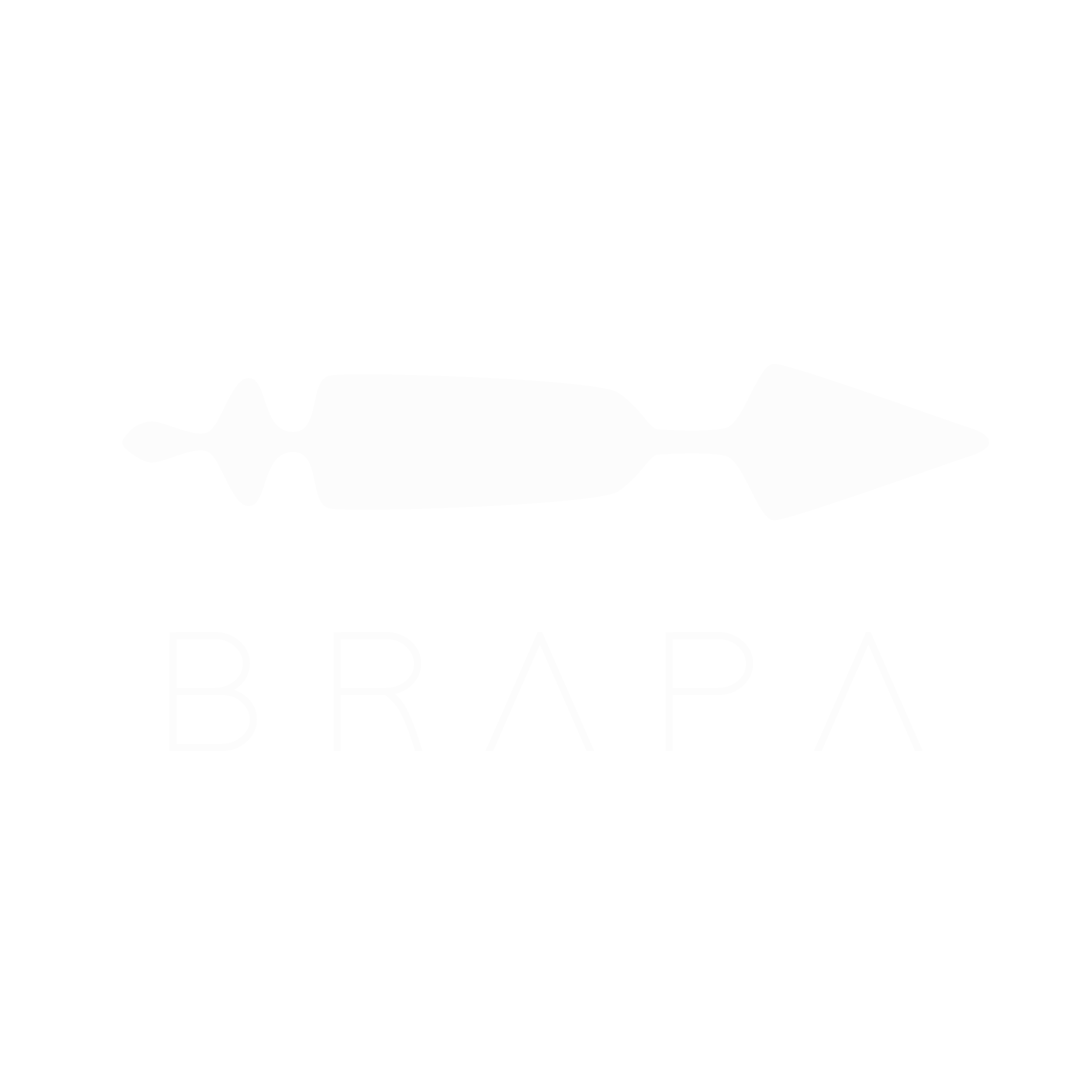 Team BRAPA partner logo